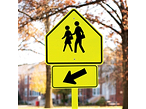 Picture of Arrow Sign (W16-7A*14)